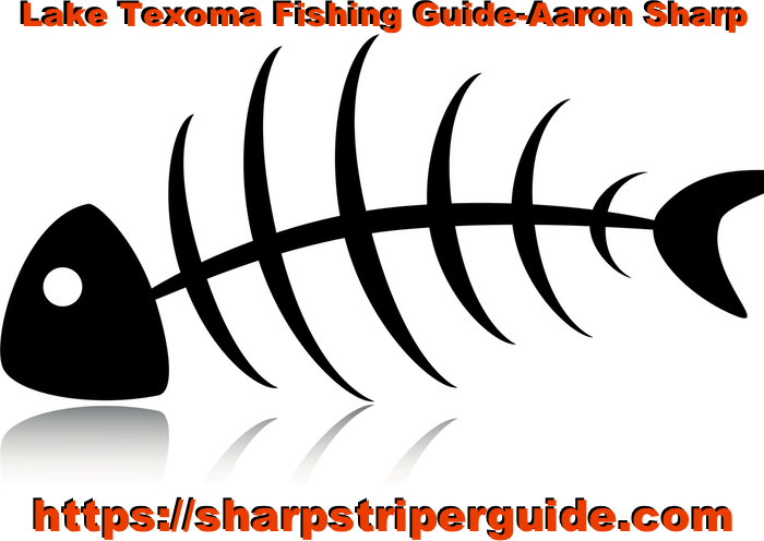 Lake Texoma Fishing Guide, Aaron Sharp, Striper Fishing