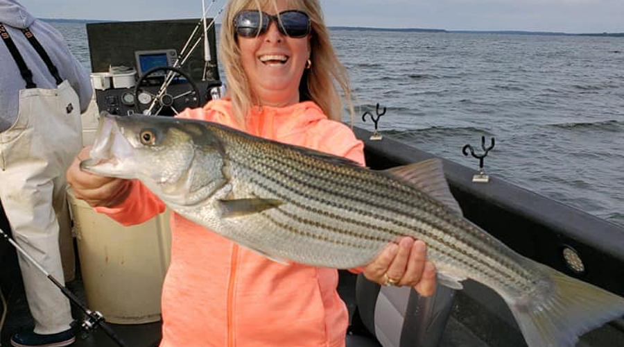 Striper Fishing with Live Bait