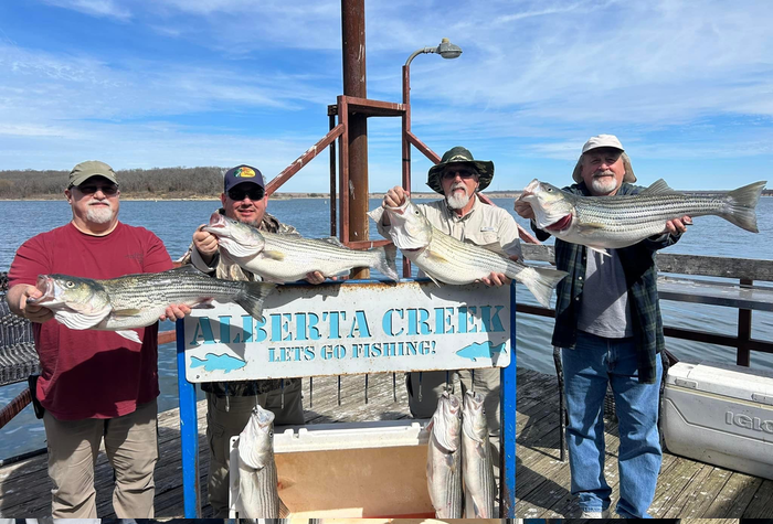 Striped Bass Spawn-Lake Texoma - Lake Texoma Fishing Guides-Aaron