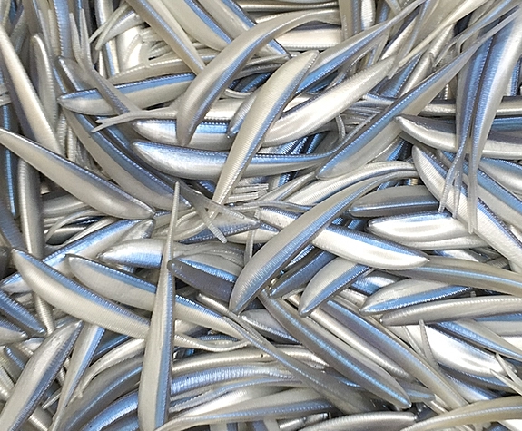 Guide to Dead Stick Fishing for Stripers in Lake Texoma During Winter