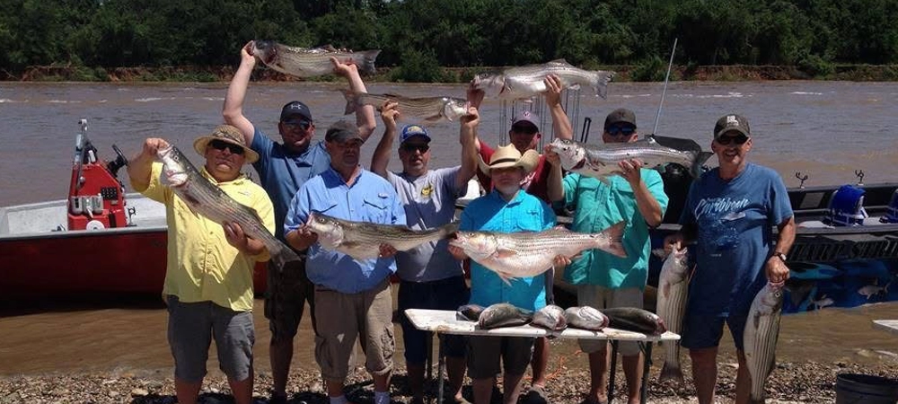 Spring-lake-texoma-striper-fishing-1 Spring Lake Texoma Striper Fishing