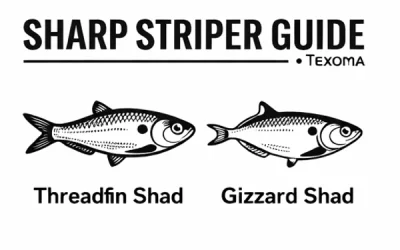 What Happens If the Fish Aren’t Biting on Lake Texoma