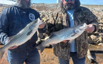 Best Time to Fish Lake Texoma