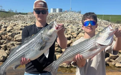Current Lake Texoma Fishing Report – March 2026